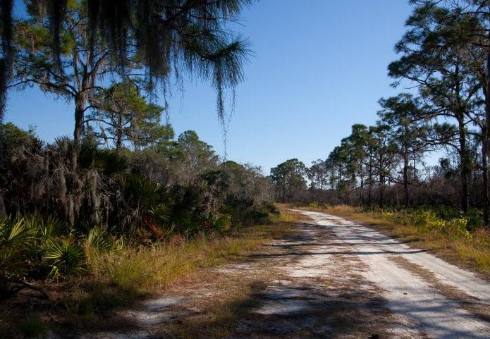 Lake June in Winter Scrub Preserve State Park, Florida, USA